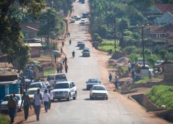Dynamics of Car Value and Pedestrian Safety: Insights into Road Behavior in Uganda