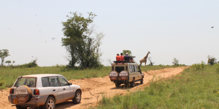 Exploring Uganda’s Rich Offerings: The Benefits of Renting a Car with a Driver for Your Safari Adventure