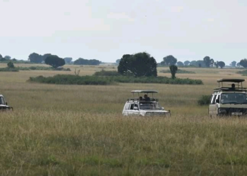 Uganda’s Wonders: A Guide to Self-Drive Adventures