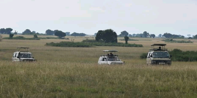 Uganda’s Wonders: A Guide to Self-Drive Adventures