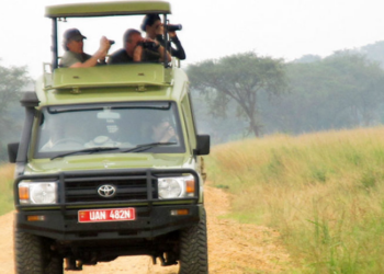 Road-Ready in Uganda: 9 Crucial Tips for Renting a Car in 2023