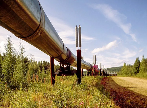 Analyzing Uganda’s Delicate Balancing Act between Conservation and Economic Development