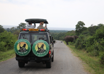 Tips for Exploring Uganda on a Budget: Enjoying the Pearl of Africa without Breaking the Bank