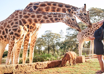 Revealing Uganda’s Treasures: A Journey Through Cultural Destinations