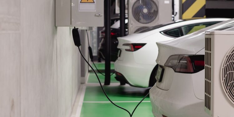 Uganda’s Car Market Trends: What’s Hot in 2025?