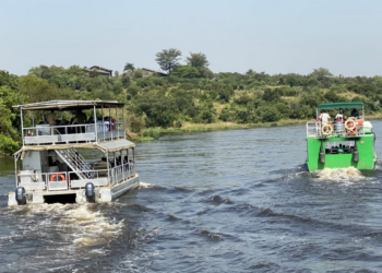 Ultimate Guide to Lake Victoria Road Trips: Excursion Prep Tips