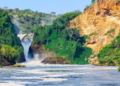 Kampala to Murchison Falls Road Trip: Fuel Tips and Wildlife Spots