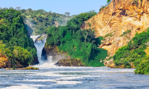 Kampala to Murchison Falls Road Trip: Fuel Tips and Wildlife Spots